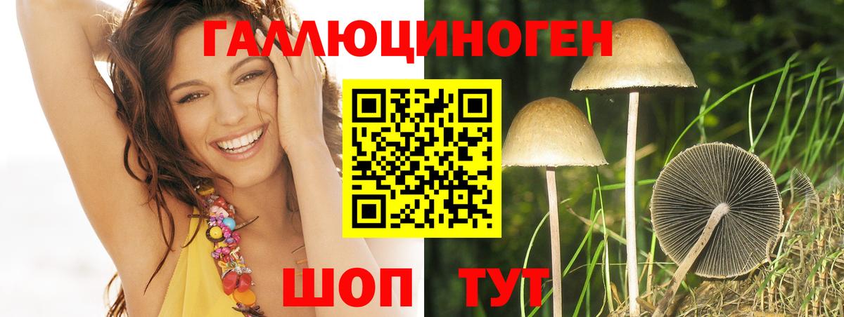 Псилоцибиновые грибы Cubensis Коммунар